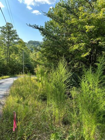 Tract 1 Kyle-arp Blue Ridge GA 30513