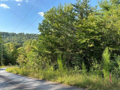 Tract 1 Kyle-arp Blue Ridge GA 30513