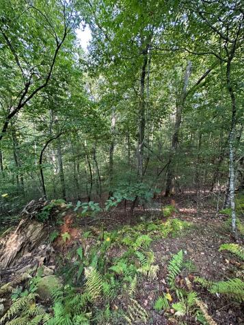 Tract 1 Kyle-arp Blue Ridge GA 30513