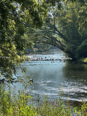 Tract 1 Kyle-arp Blue Ridge GA 30513