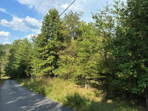 Tract 1 Kyle-arp Blue Ridge GA 30513