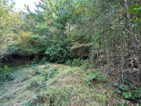 Tract 1 Kyle-arp Blue Ridge GA 30513