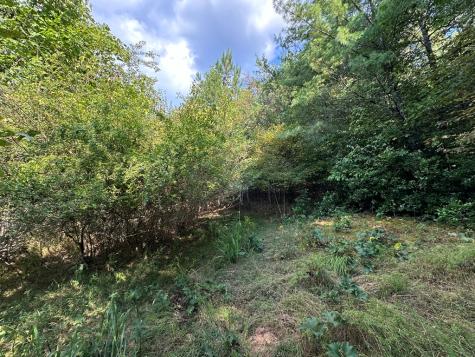 Tract 1 Kyle-arp Blue Ridge GA 30513