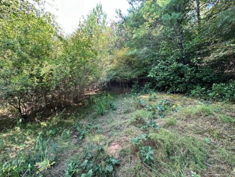 Tract 1 Kyle-arp Blue Ridge GA 30513