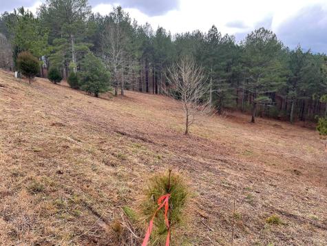 Lot 39 Pinehurst Blairsville GA 30512