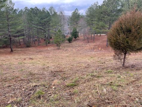 Lot 39 Pinehurst Blairsville GA 30512