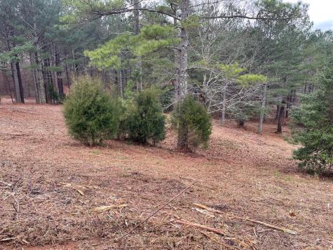 Lot 39 Pinehurst Blairsville GA 30512