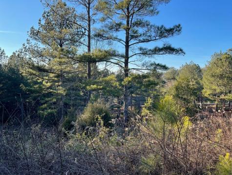 Lot 39 Pinehurst Blairsville GA 30512