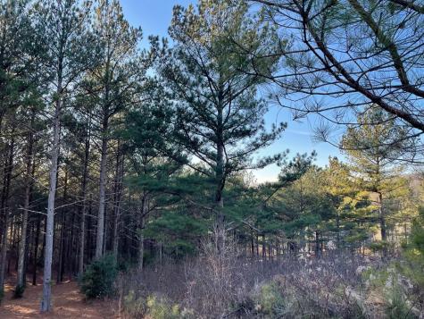 Lot 39 Pinehurst Blairsville GA 30512