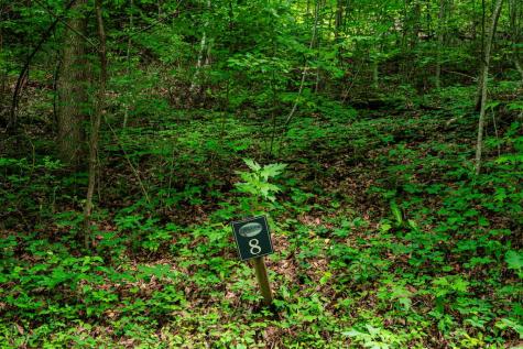 8 Skyview Drive Hayesville NC 28904