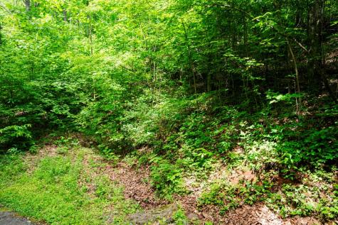 8 Skyview Drive Hayesville NC 28904