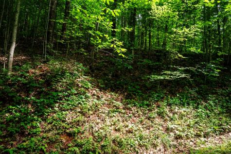 8 Skyview Drive Hayesville NC 28904
