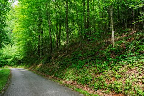 8 Skyview Drive Hayesville NC 28904
