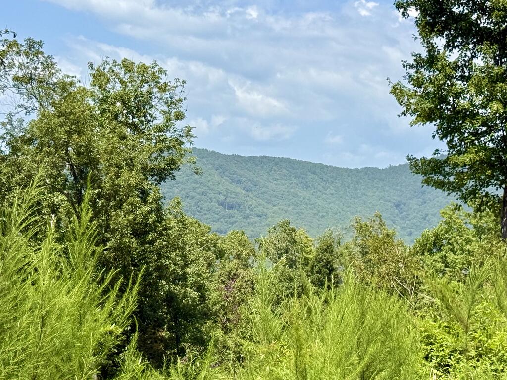 Lot 31 Grand Laurel Brasstown NC 28902