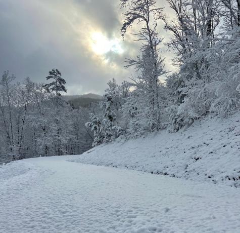 Lot 31 Grand Laurel Brasstown NC 28902
