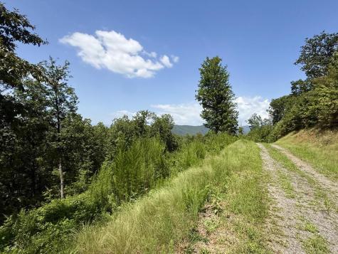 Lot 31 Grand Laurel Brasstown NC 28902