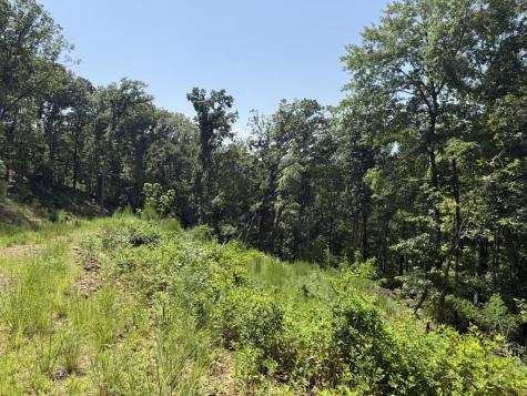 Lot 31 Grand Laurel Brasstown NC 28902