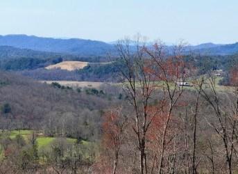 Lot 31 Grand Laurel Brasstown NC 28902