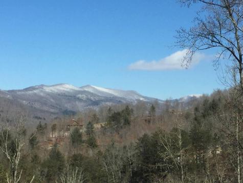 Lot 31 Grand Laurel Brasstown NC 28902