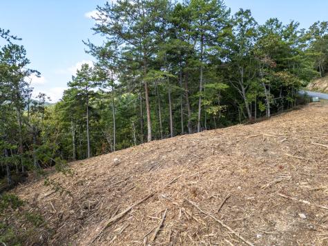 Lot 157 Crossover Lane Murphy NC 28906