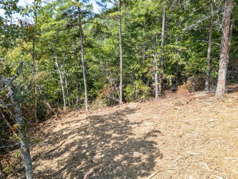 Lot 157 Crossover Lane Murphy NC 28906