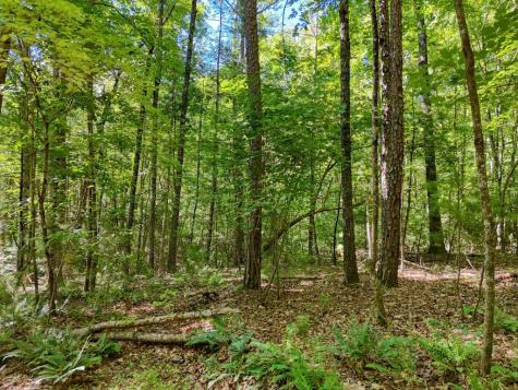 Lt 8a&b Lake Breeze Lane Blairsville GA 30512