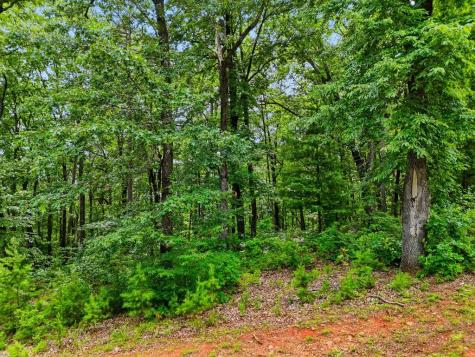Lot 11 Weeks Drive Ellijay GA 30540
