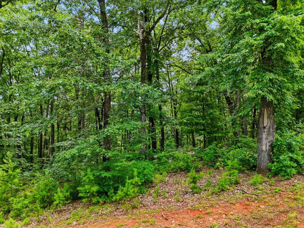 Lot 11 Weeks Drive Ellijay GA 30540