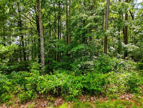 Lot 11 Weeks Drive Ellijay GA 30540