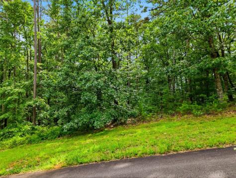 Lot 11 Weeks Drive Ellijay GA 30540