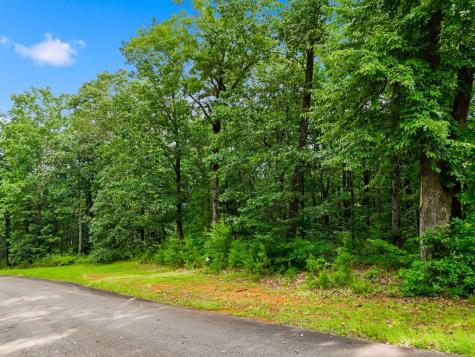 Lot 11 Weeks Drive Ellijay GA 30540