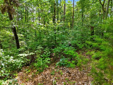 Lot 11 Weeks Drive Ellijay GA 30540