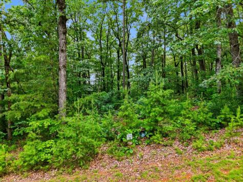 Lot 11 Weeks Drive Ellijay GA 30540