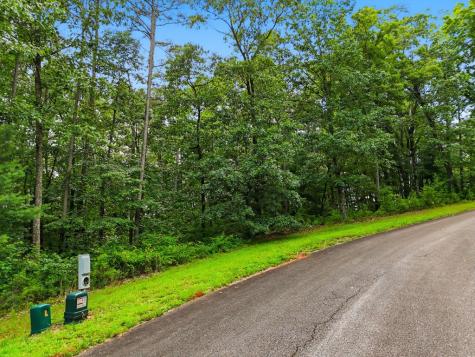 Lot 11 Weeks Drive Ellijay GA 30540