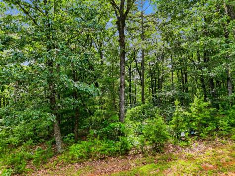 Lot 11 Weeks Drive Ellijay GA 30540