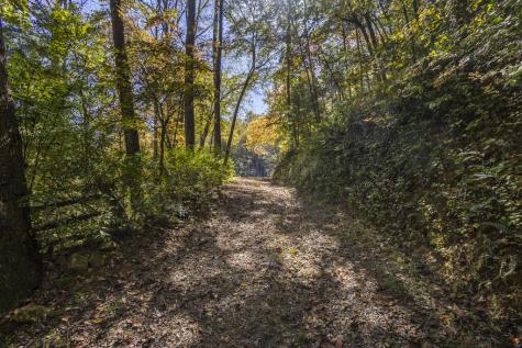 8455 Joe Brown Highway Murphy NC 28906