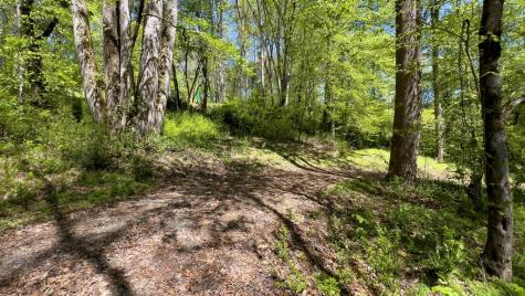 Lot 1 Myers Chapel Road Hayesville NC 28904