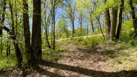 Lot 1 Myers Chapel Road Hayesville NC 28904