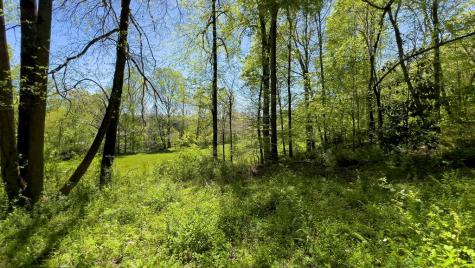 Lot 1 Myers Chapel Road Hayesville NC 28904