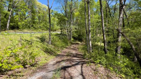Lot 1 Myers Chapel Road Hayesville NC 28904