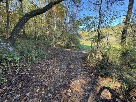 0 Saffron Lane Blue Ridge GA 30513