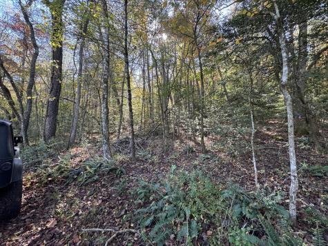 0 Saffron Lane Blue Ridge GA 30513