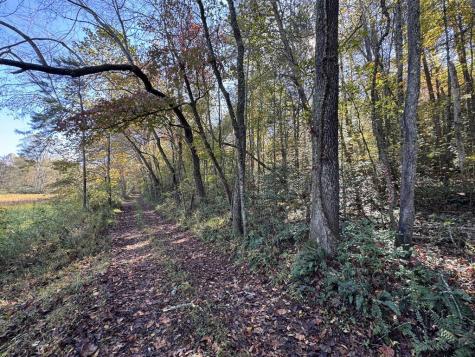 0 Saffron Lane Blue Ridge GA 30513