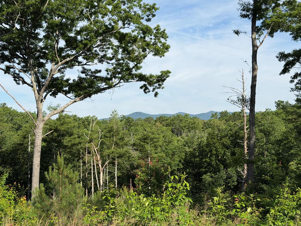 Lt 304 Greenwood Court Ellijay GA 30540