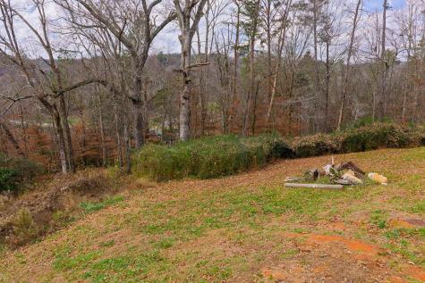 Lot 6 N Parkview Drive Ellijay GA 30540