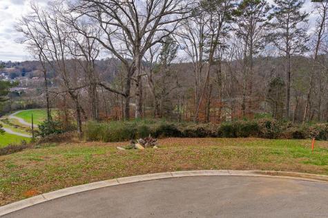 Lot 6 N Parkview Drive Ellijay GA 30540