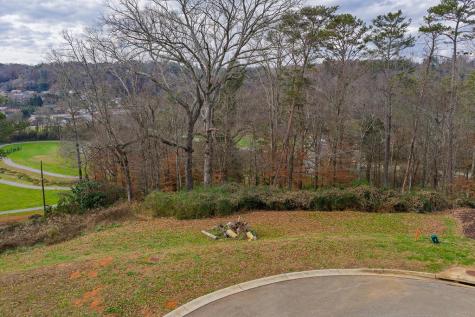 Lot 6 N Parkview Drive Ellijay GA 30540
