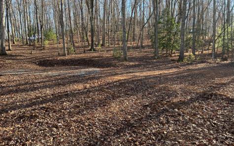 Turkey Scratch Road Morganton GA 30560