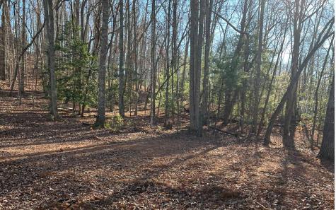 Turkey Scratch Road Morganton GA 30560