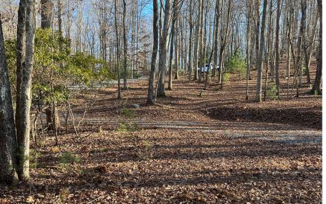 Turkey Scratch Road Morganton GA 30560